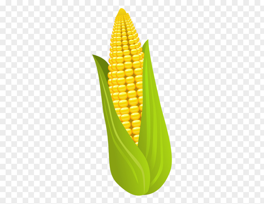 Corn Aojiru Food Maize PNG