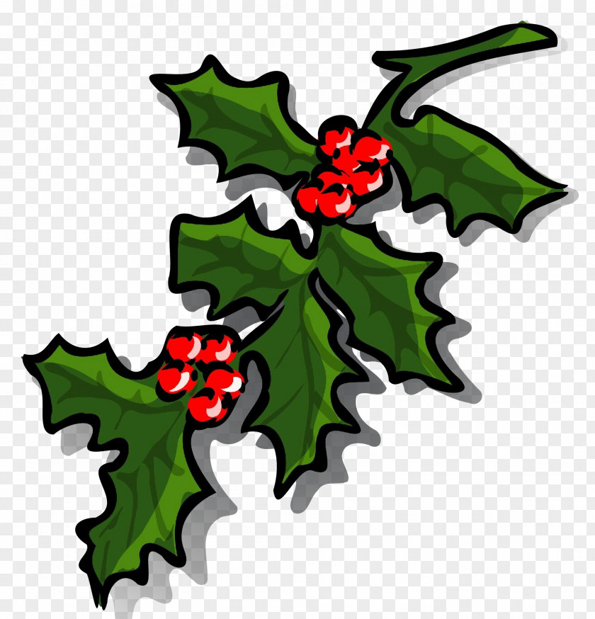 Plane American Holly Christmas Tree Watercolor PNG