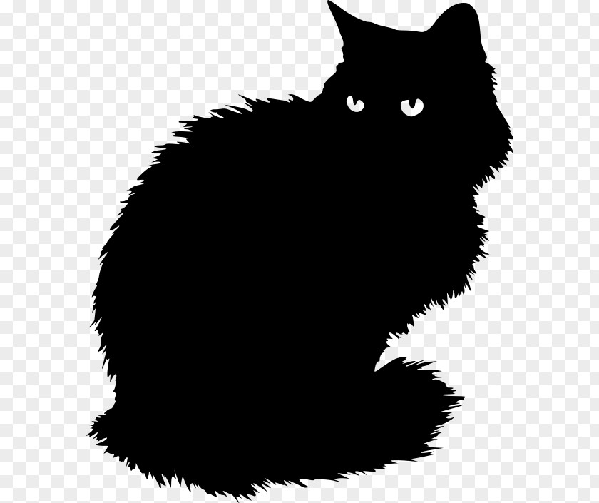 Black&white Persian Cat British Longhair Black Kitten Shorthair PNG