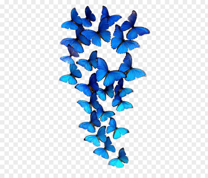 Butterfly Group IPhone 6S PNG