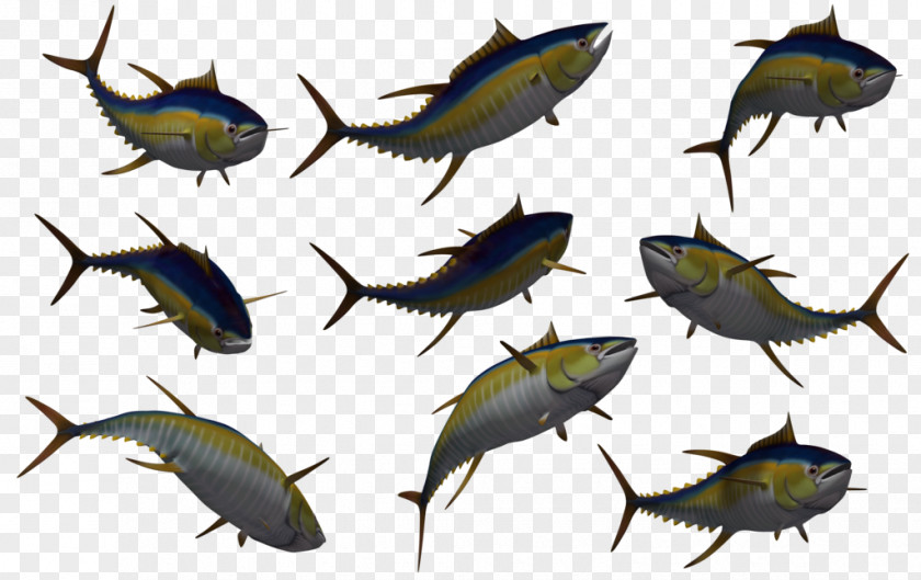 Free Fish Photos Yellowfin Tuna Clip Art PNG