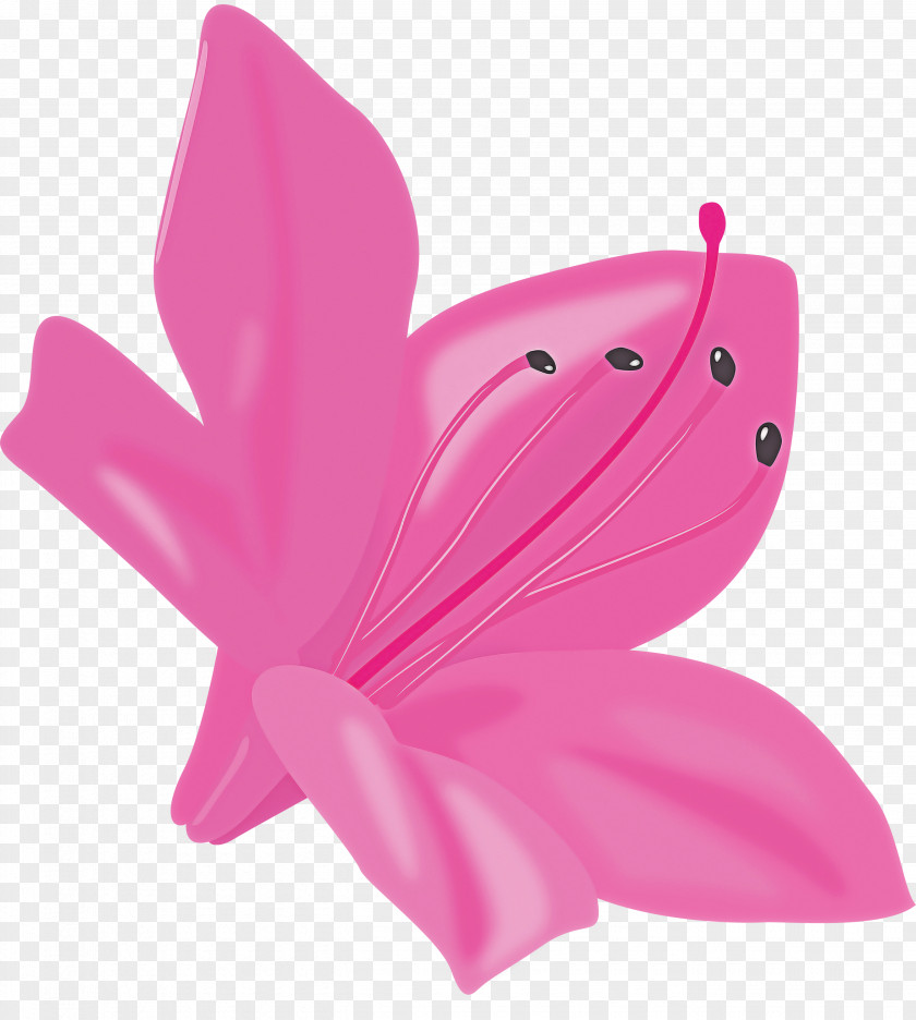 Azalea Spring Flower PNG