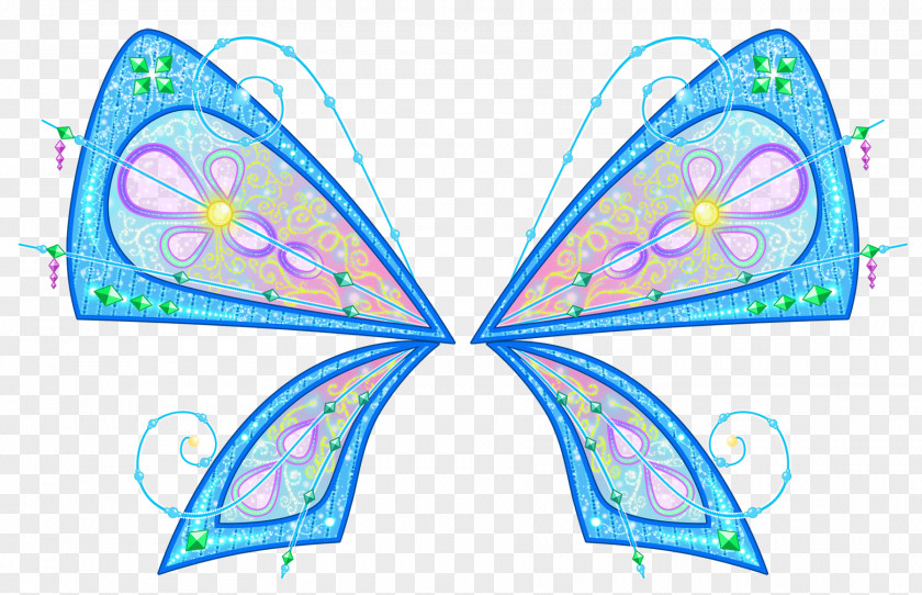 Butterfly Wing Clip Art PNG