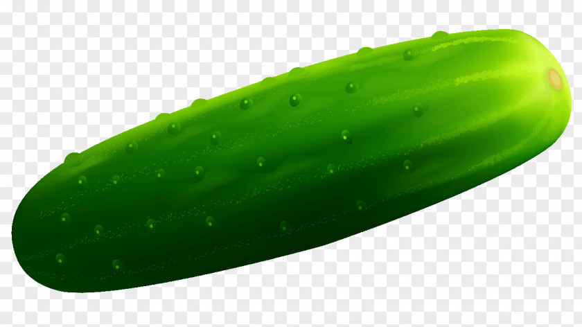 Cucumber Pickled Vegetable Melon Clip Art PNG