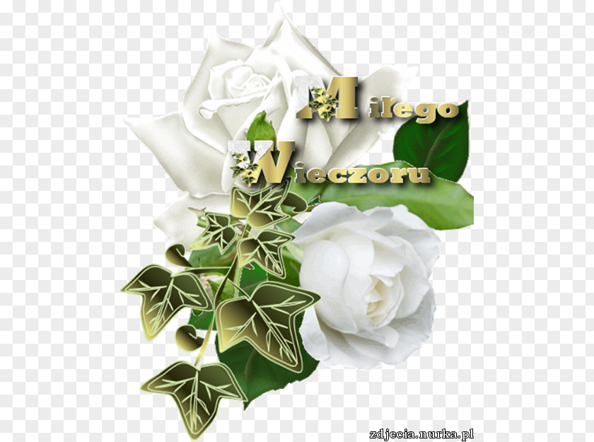 Flower Floral Design Cut Flowers Eyelid Artificial PNG