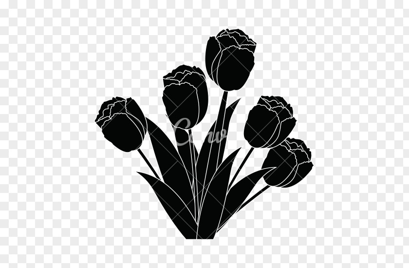 Tulips Flower Monochrome Photography PNG