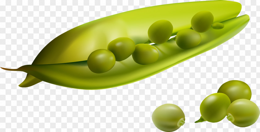 Vegetable Green Bean Snap Pea PNG