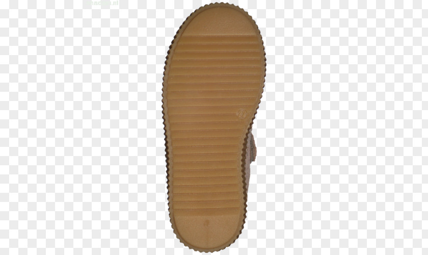 Design Slipper Shoe PNG