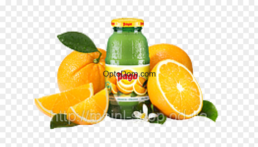 Juice Orange Nectar Valencia Drink PNG