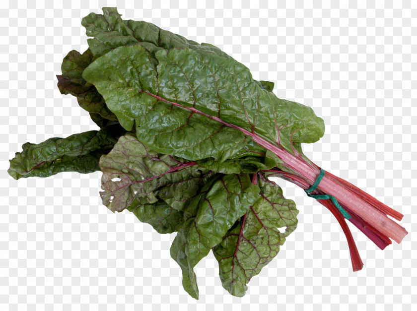 Mangold Or Swiss Chard Spinach Leaf Vegetable PNG