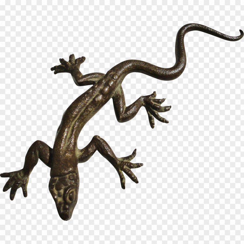 Salamander Lizard Reptile Gecko Paper PNG