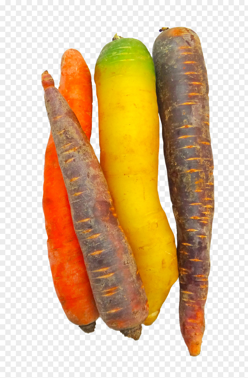 Carrot Baby Vegetable Vegetarian Cuisine Food PNG