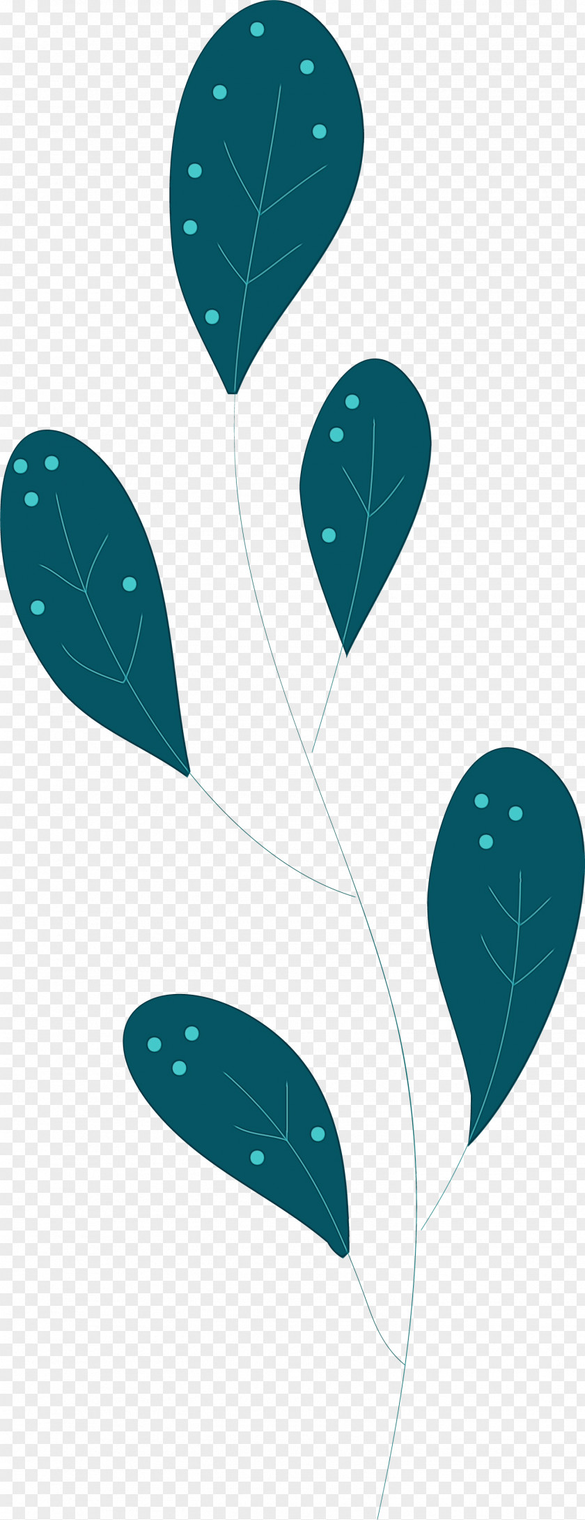 Leaf Turquoise Biology Plant Structure Plants PNG