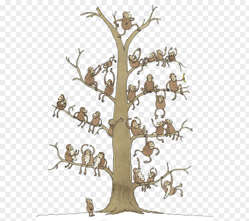 Tree Monkey Illustrator Cartoon Illustration PNG