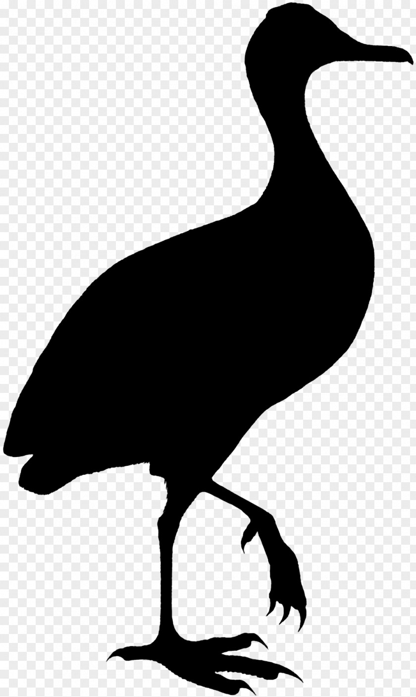 Duck Bird Goose Crane Clip Art PNG