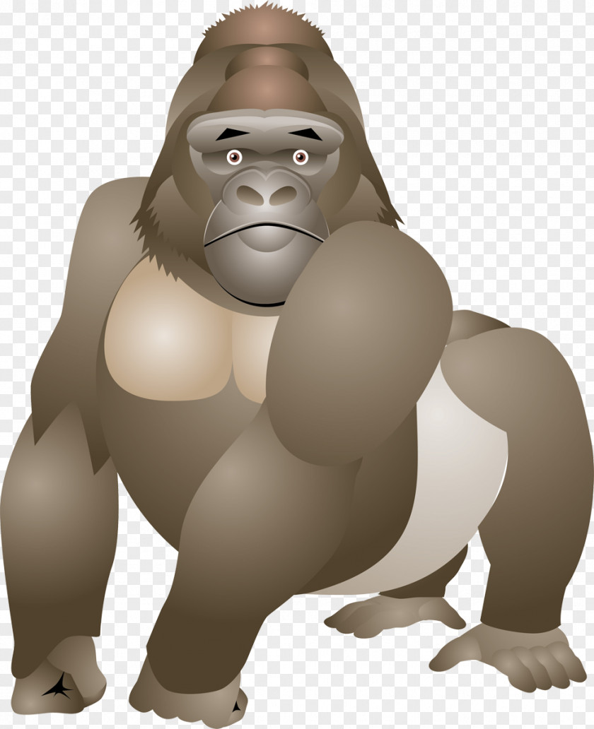 Gorilla Primate Orangutan Monkey Ape PNG