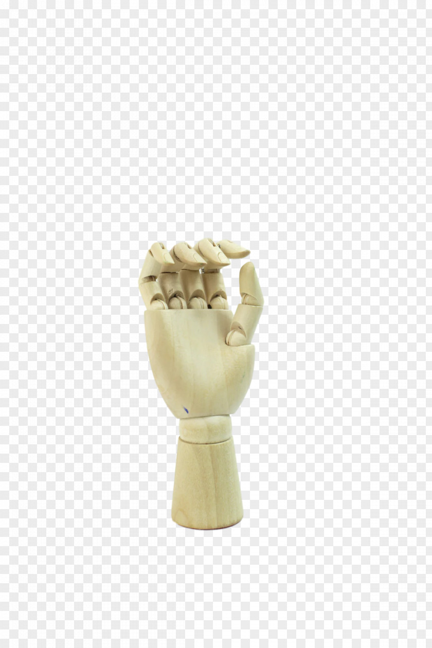 Joint Science Biology Human Skeleton PNG