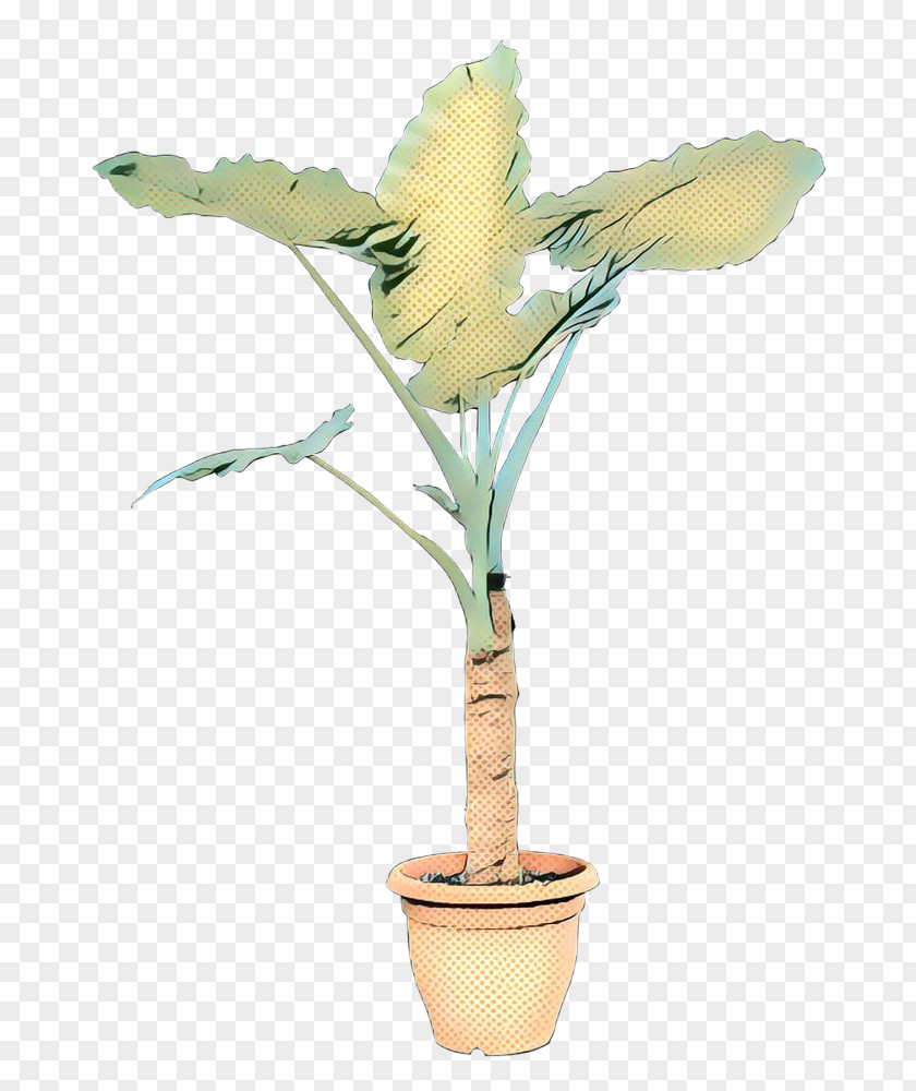 Plants Houseplant Flowerpot Flower Garden PNG