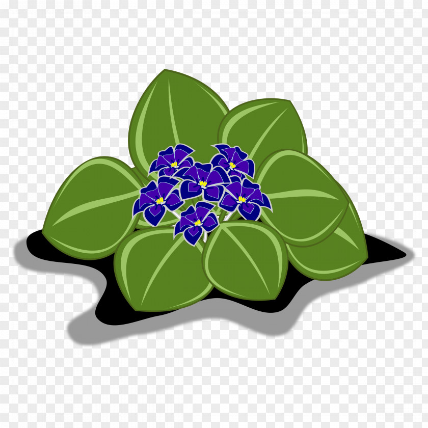 Violet Clipart African Violets Clip Art PNG