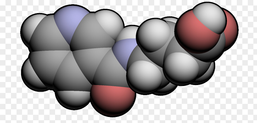 Dietary Supplement Picamilon Nootropic Gamma-Aminobutyric Acid Niacin PNG