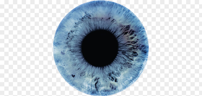 Eye Color Light Iris Human PNG