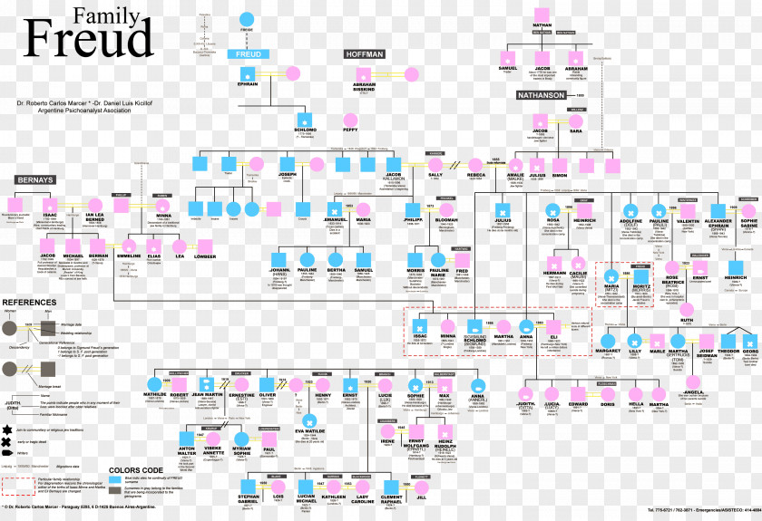 Family Birth House Of Sigmund Freud Genealogy Tree PNG