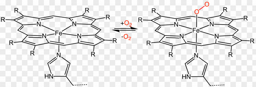 Iron Hemeprotein Heme B Porphyrin A PNG
