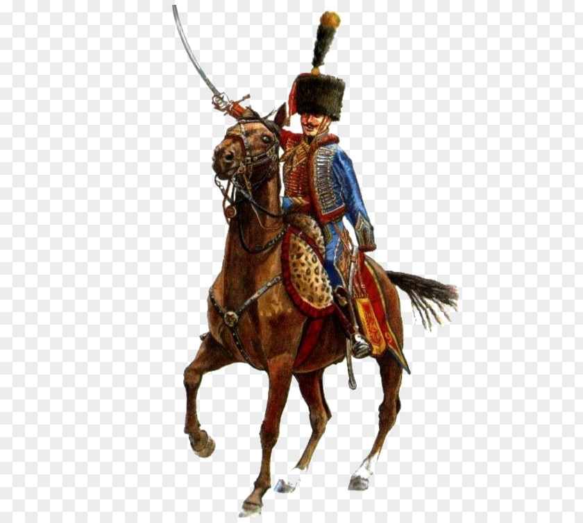 Military Napoleonic Wars Polish Hussars Regiment Cavalry PNG