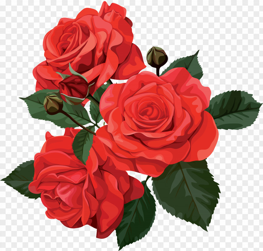 Rose Flower Bouquet Clip Art PNG