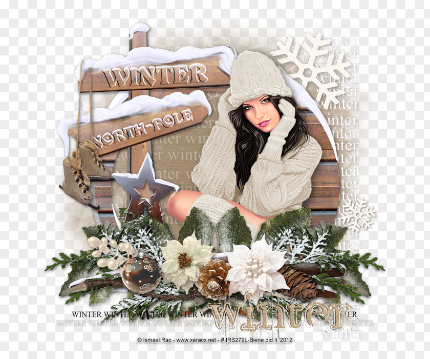 Winter Tutorial Christmas Ornament Gift PNG