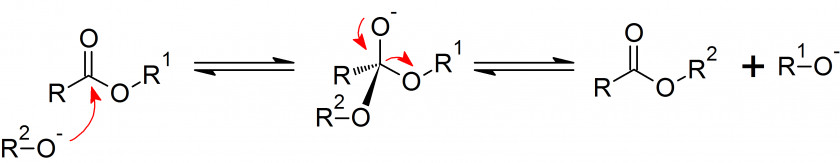 General Transesterification Chemical Reaction Organic Chemistry Carbonyl Group PNG