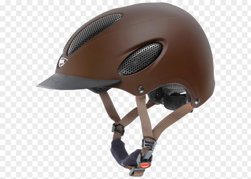 Horse Equestrian Helmets UVEX PNG