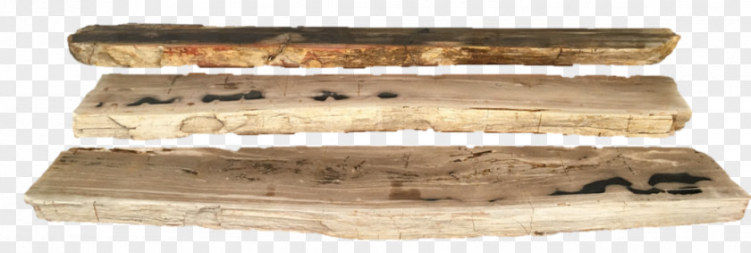 Petrified Wood Tables Table Fireplace Mantel Shelf PNG