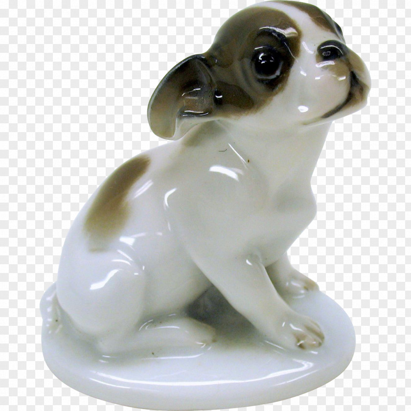 Porcelain Dog Breed Toy Companion Snout PNG
