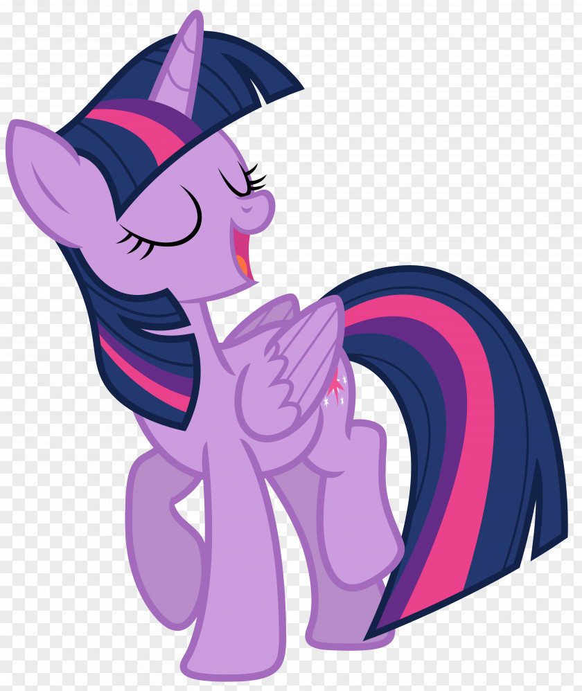 Twilight Sparkle Rarity Pony PNG