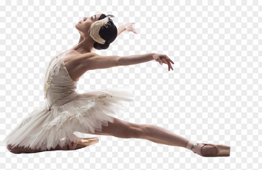 Ballet Dancer Imperial Society Of Teachers Dancing Modern Dance PNG