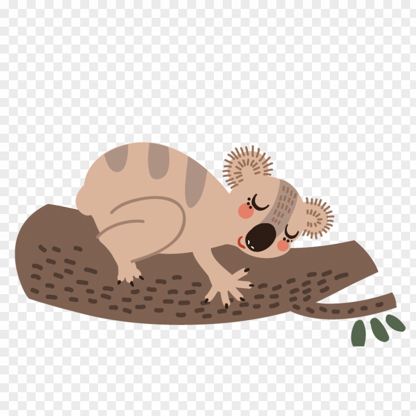Cute Squirrel Koala Wombat Bear Cartoon Sloth PNG