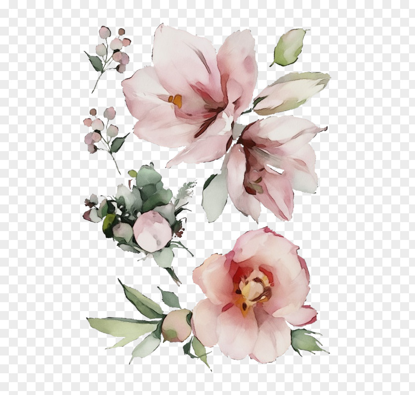 Flower Pink Petal Plant Cut Flowers PNG