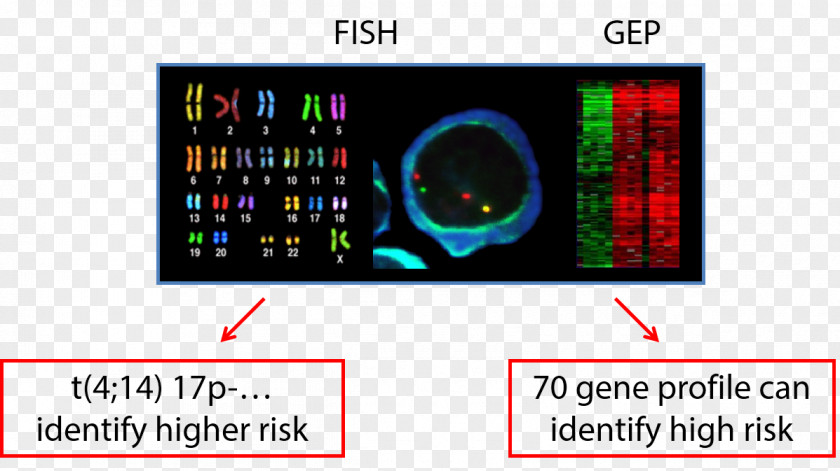 Genetic Testing Display Device Electronics Karyotype Gadget Font PNG