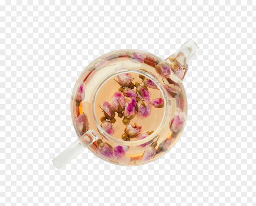 Rose Tea Flowering Green Beach Drinking PNG