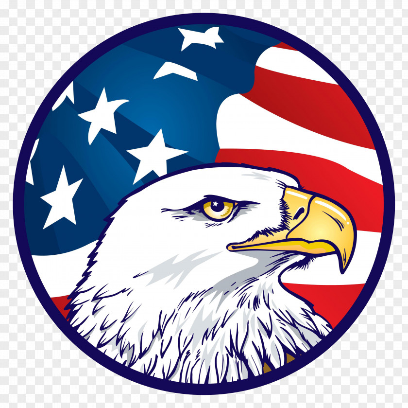 United States Bald Eagle Flag Of The American Outfitters Clip Art PNG
