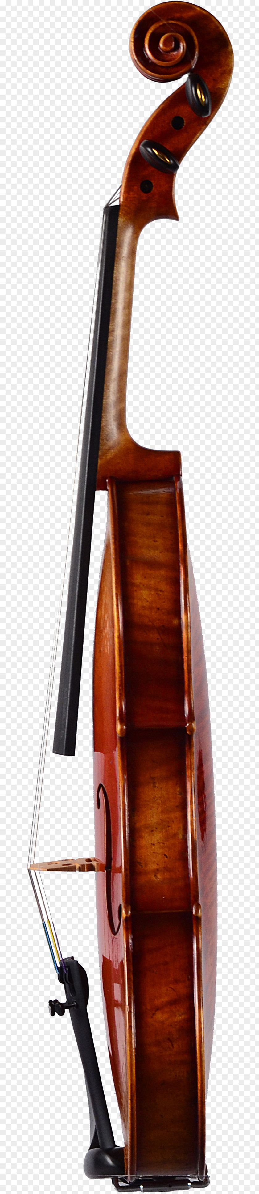 Violin Bass Violone Double Viola Octobass PNG