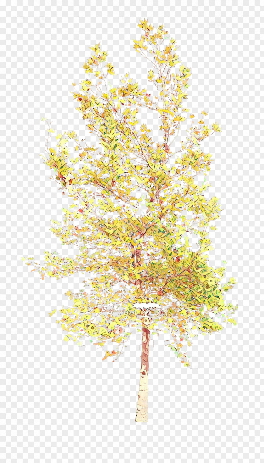 Plant Stem Flower Tree Yellow Branch Woody PNG