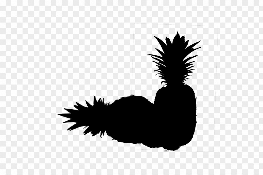 Rooster Chicken Silhouette Feather Beak PNG