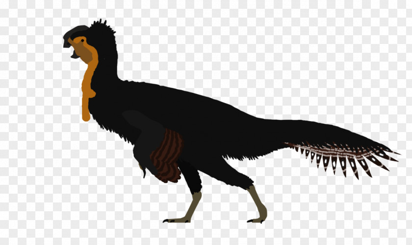 Barosaurus Huanansaurus DeviantArt Tyrannotitan Drawing PNG