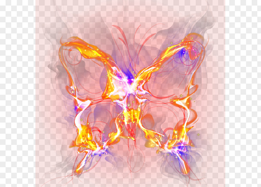 Colorful Butterfly Petal Computer Wallpaper PNG