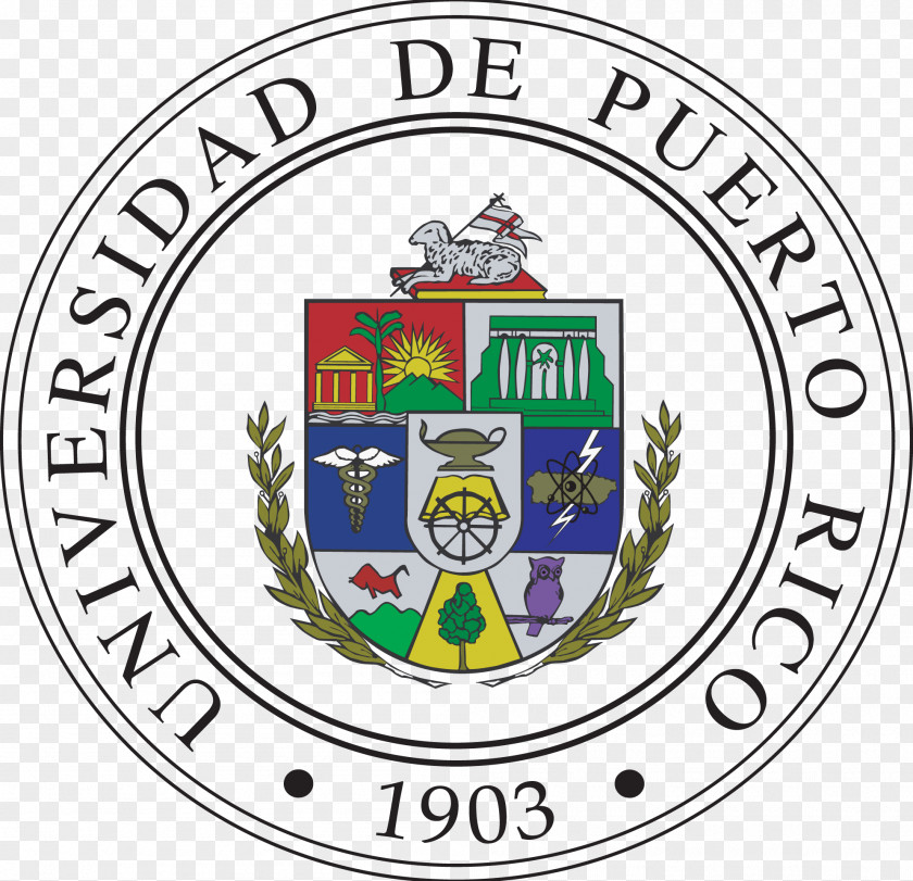 Student University Of Puerto Rico At Bayamón Rico, Río Piedras Campus Utuado Aguadilla PNG