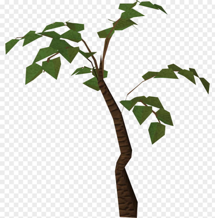 Summertime Wood Plants Clip Art Image Tree Transparency PNG