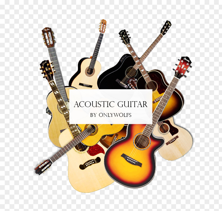 Acoustic Guitar Bass Acoustic-electric PNG