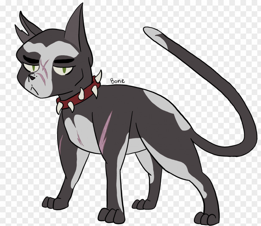 Cat Whiskers Warriors Ravenpaw Tigerstar PNG